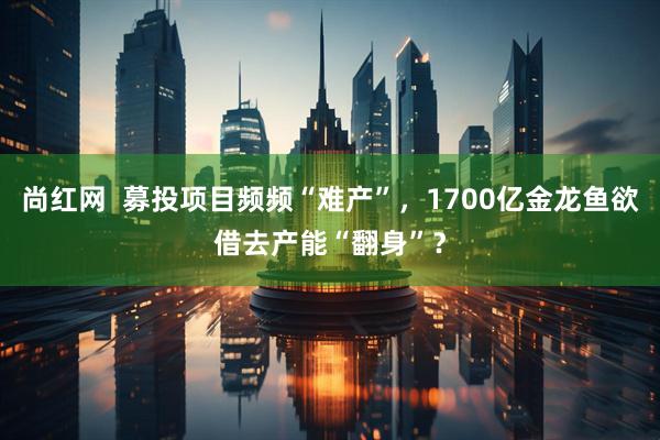 尚红网  募投项目频频“难产”，1700亿金龙鱼欲借去产能“翻身”？