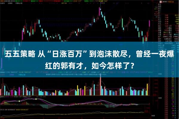 五五策略 从“日涨百万”到泡沫散尽,曾经一夜爆红的郭有才,如今怎样了?