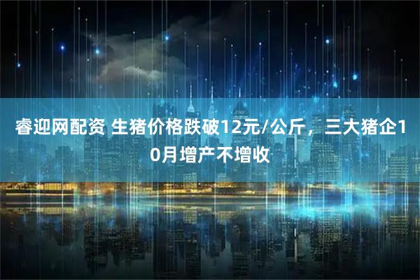 睿迎网配资 生猪价格跌破12元/公斤，三大猪企10月增产不增收