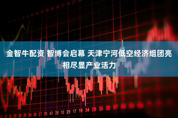 金智牛配资 智博会启幕 天津宁河低空经济组团亮相尽显产业活力